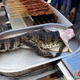 Crocodile for barbecue in Shandong Province.